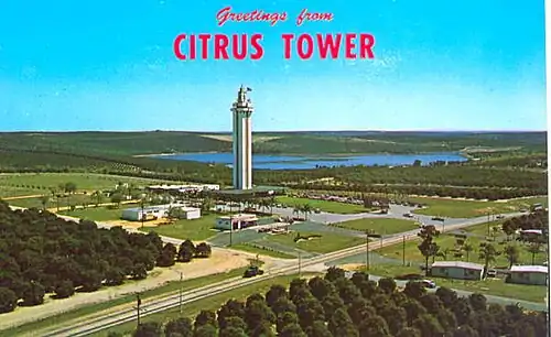 "Greetings from Citrus Tower" postcard from circa 1960