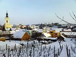 General view of Čejkovice