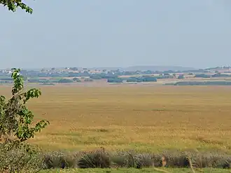 Landscape of Chortarolimni