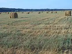 August harvest in Tsivil River valley, Tsivilsky District