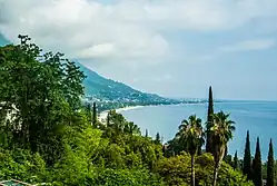 Coastline of Gagra