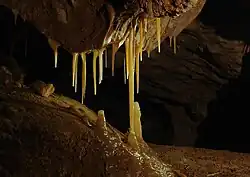 Translucency, Taëžnaja 2012