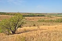 Platovnika village, Ukraine