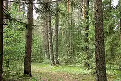 Map with borders of Chavash Vermane Bor NP