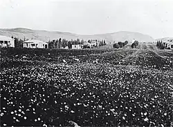 Kfar Giladi 1930