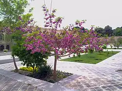 Museum of Natural history