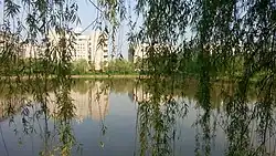 A pond in the college.