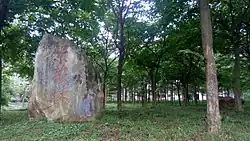 A grove named "Ziwei Grove" (紫薇林).