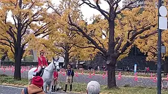A Mounted Police around of the Empial palace.