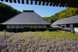 Kotsuhata-no-fuji [ja], a 650-year-old tree designated as a natural monument by Saitama Prefecture. Honjō, Saitama, Japan.