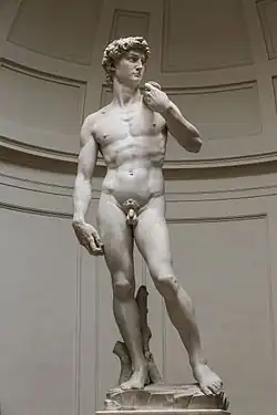 Image 80David, by Michelangelo (Accademia di Belle Arti, Florence, Italy), is a masterpiece of Renaissance and world art. (from Culture of Italy)