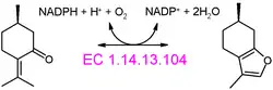 Menthofuran synthase reaction
