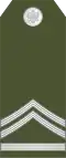 Vodnik 1 klase (Montenegrin Ground Army)[7]