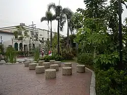 Senior's garden