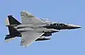 An F-15E Strike Eagle from the 494th Fighter Squadron