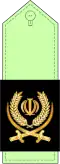 Brigadier General