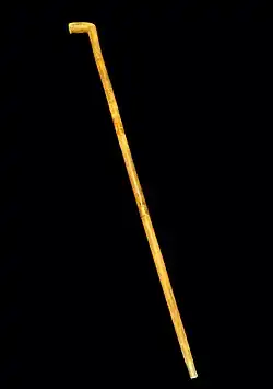 carved walking stick