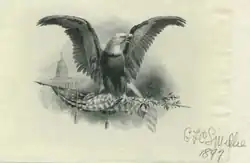 1897 Bald eagle signed by G.F.C. Smillie