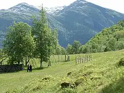 Wide and open meadows at Ytste Skotet