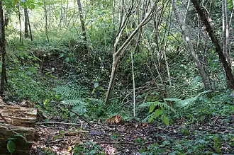 Funnel marking the location of the well.