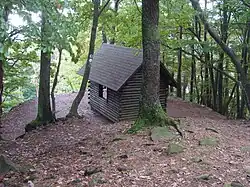 Refuge hut in the forest
