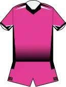 Pink Panthers (2013-2015)