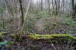 The entrance is filled in.