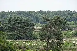 Landscape near Havelterberg