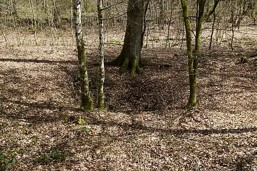 The funnel created by the shaft.