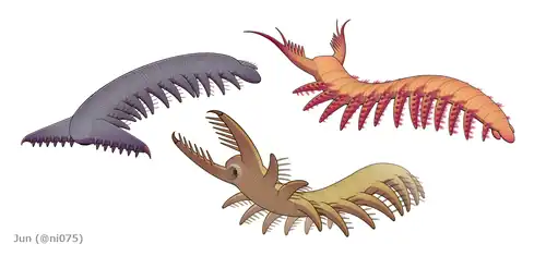 The siberiid lobopodians Siberion (upper left), Megadictyon (bottom center) and Jianshanopodia (upper right)