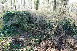 Ruins of the Haute-Meule well.