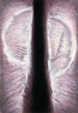 Mystery of the Signs (1993)