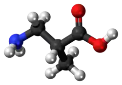 Ball-and-stick model of the 3-aminoisobutyric acid molecule