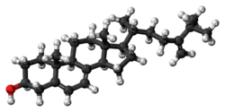 Ball-and-stick model of 5-dehydroepisterol
