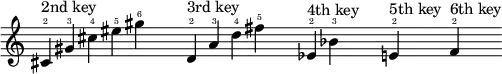 {
    \new Staff \with { \remove "Time_signature_engraver" }
    \clef treble \key c \major \cadenzaOn
    cis'4 \finger \markup \text "2" ^ \markup "2nd key" 
    gis'  \finger \markup \text "3"
    cis'' \finger \markup \text "4"
    eis'' \finger \markup \text "5"
    gis'' \finger \markup \text "6"
    \once \hide r2
    d'4   \finger \markup \text "2" ^ \markup "3rd key" 
    a'    \finger \markup \text "3"
    d''   \finger \markup \text "4"
    fis'' \finger \markup \text "5"
    \once \hide r2
    ees'4 \finger \markup \text "2" ^ \markup "4th key" 
    bes'  \finger \markup \text "3"
    \once \hide r1
    e'4   \finger \markup \text "2" ^ \markup "5th key" 
    \once \hide r1
    f'4   \finger \markup \text "2" ^ \markup "6th key" 
    \break
  }