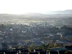 Enniscorthy from nearby Vinegar Hill