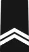 Army JROTC Corporal Insignia