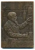 1905, Angelo Mariani and the use of coca leaf in Vin Mariani, proprietary medicine. Bronze, 37 x 52mm.