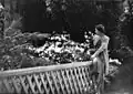A woman in the Botanic Gardens, 1934, by Sam Hood