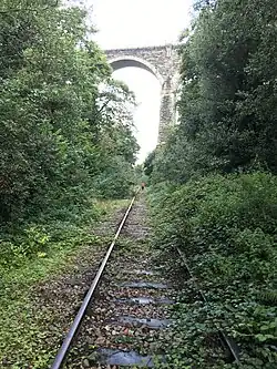 Abandoned railway track surrounded by bushes that go through an arch of Moorswater Viaduct