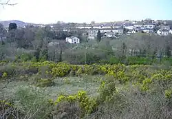 Landscape of Abersychan showing housing and chapel with mountain in the background