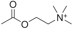 Figure 3. Acetylcholine for comparison.