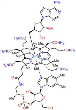 Adenosylcobalamin is a cofactor required by several crucial enzymatic reactions that take place in the human body. It is a rare example of a metal (cobalt) alkyl in biology.