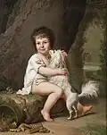 Two-year-old Henri Bertholet-Campan with his dog in lion cut, by Ulrik Wertmüller, 1786.