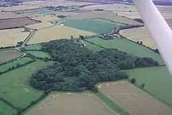 aerialview of woodland. One part of the wood is circular, with a central clearing