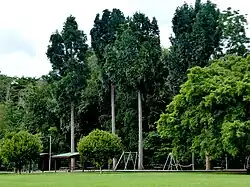 Near Freshwater Ck, Cairns