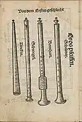 Cornett, shawms from Martin Agricola's book "Musica instrumentalis deudsch", published 1529. From left: straight cornett, three-hole pipe, bombard, shawm.
