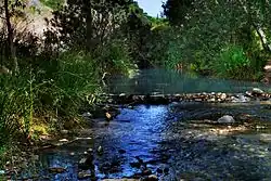 Looks like this Site of Community Interest has an image. Don't worry, you can take one of your own, and upload it too!