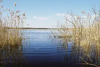 Lake Ahijärv near Lääniste
