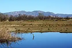 Looks like this Site of Community Interest has an image. Don't worry, you can take one of your own, and upload it too!